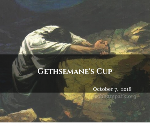 Gethsemane's Cup