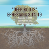 Deep Roots