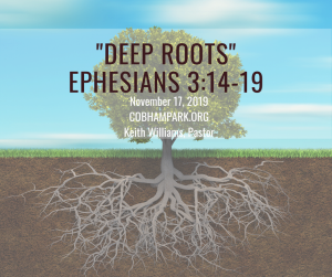 Deep Roots