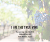 I Am the Vine